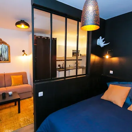 Appartamento Le Zèbre, T1 hypercentre chic et cosy, Wifi par SOVALFI Saint-Etienne  Esterno foto