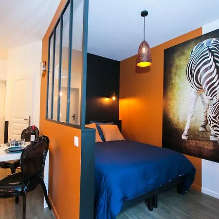 Appartamento Le Zèbre, T1 hypercentre chic et cosy, Wifi par SOVALFI Saint-Etienne  Esterno foto