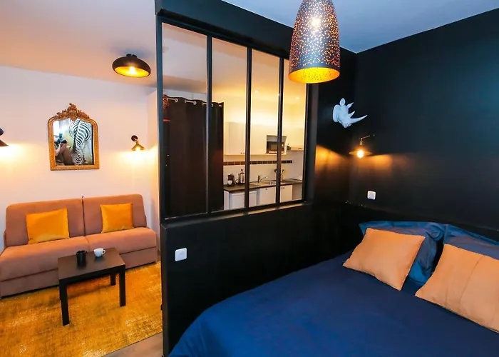 Le Zebre, T1 Hypercentre Chic Et Cosy, Wifi Par Sovalfi