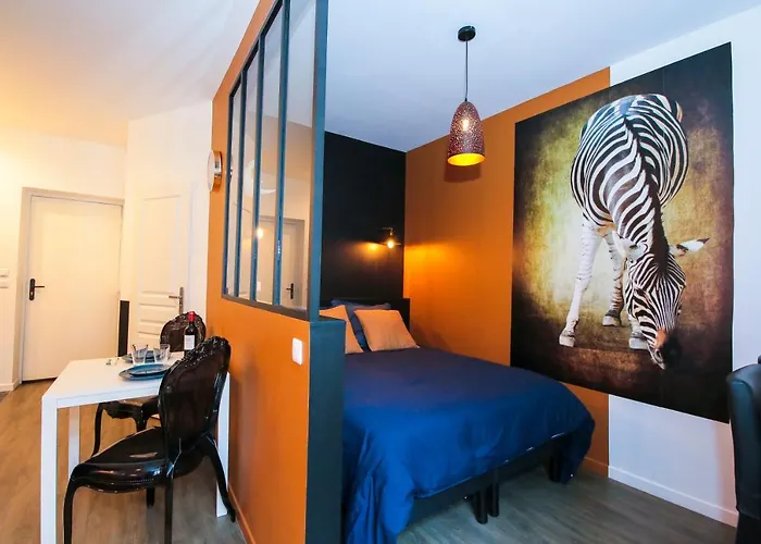 Le Zebre, T1 Hypercentre Chic Et Cosy, Wifi Par Sovalfi